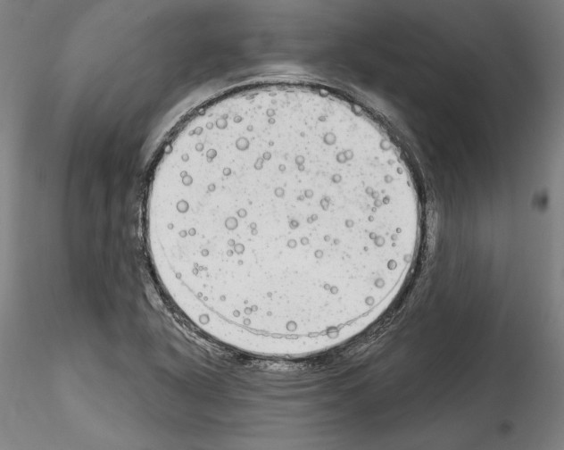 X0000114551318200911301216