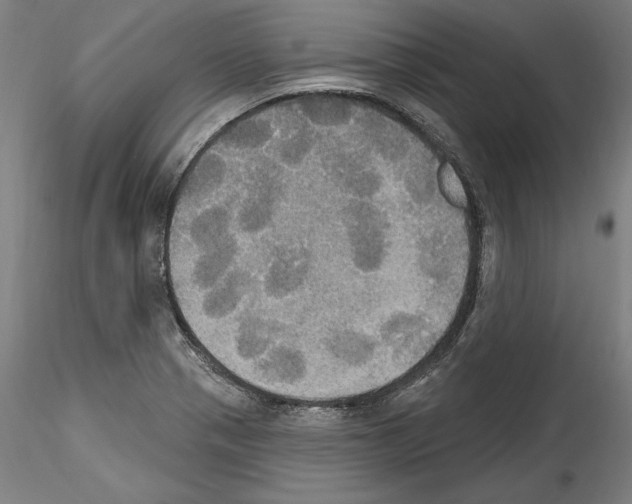 X0000114551321200911301216