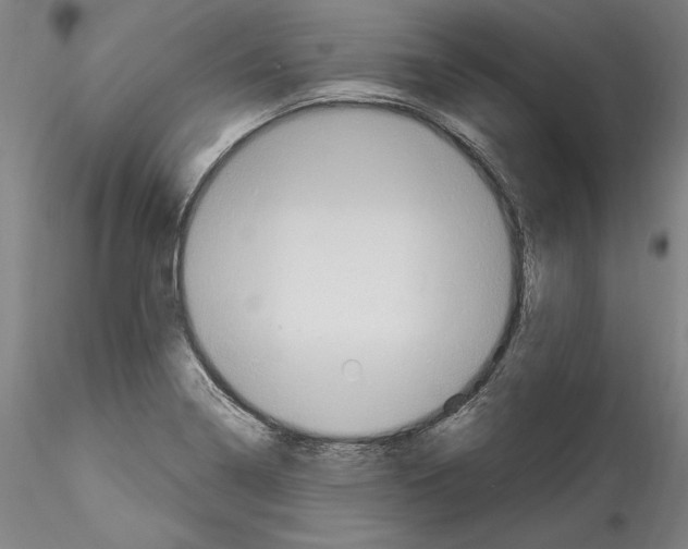X0000114551322200911301216