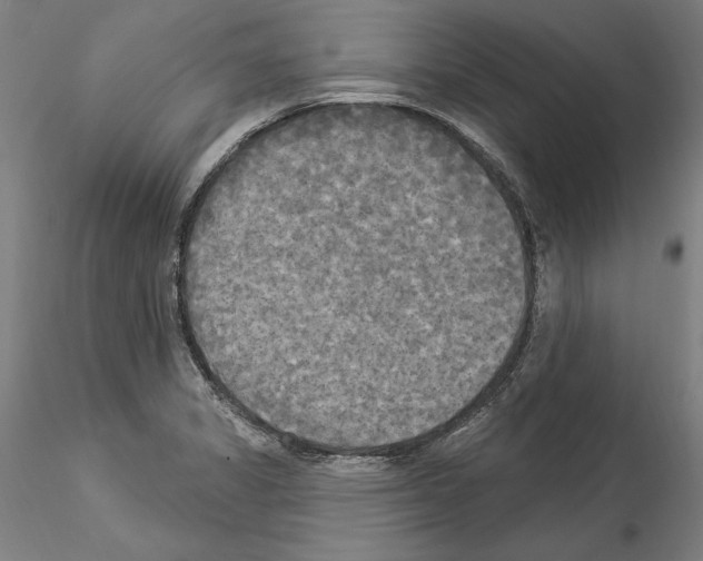 X0000114551325200911301216