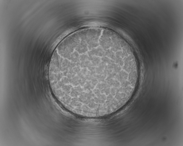 X0000114551329200911301216