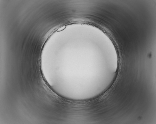 X0000114551330200911301216