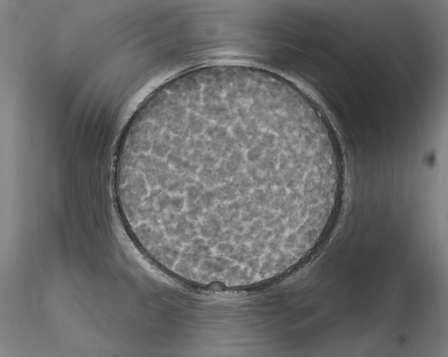 X0000114551333200911301216