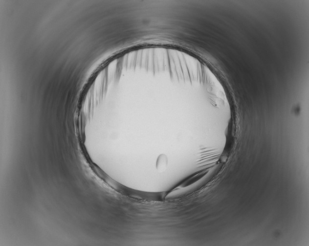 X0000114551334200911301216