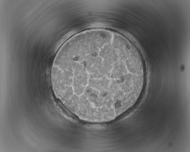 X0000114551337200911301216