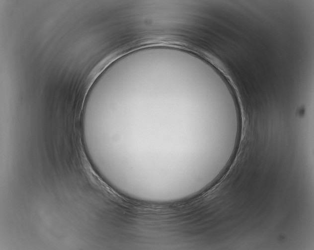 X0000114551338200911301216