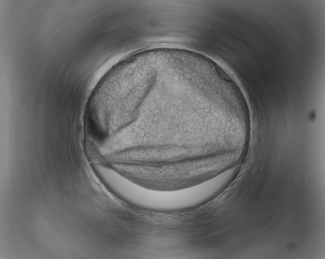 X0000114551341200911301216