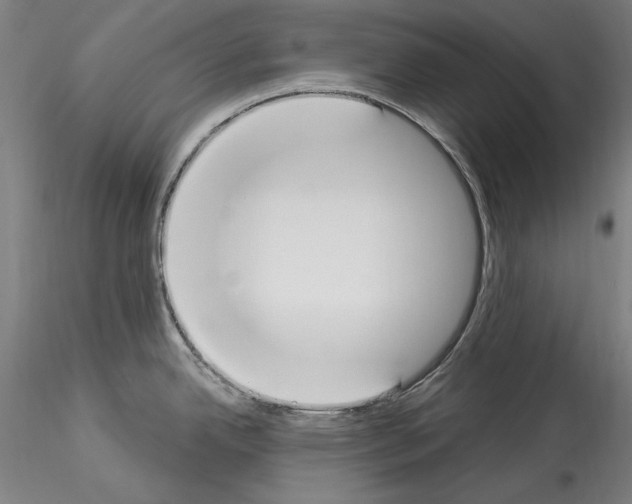 X0000114551342200911301216