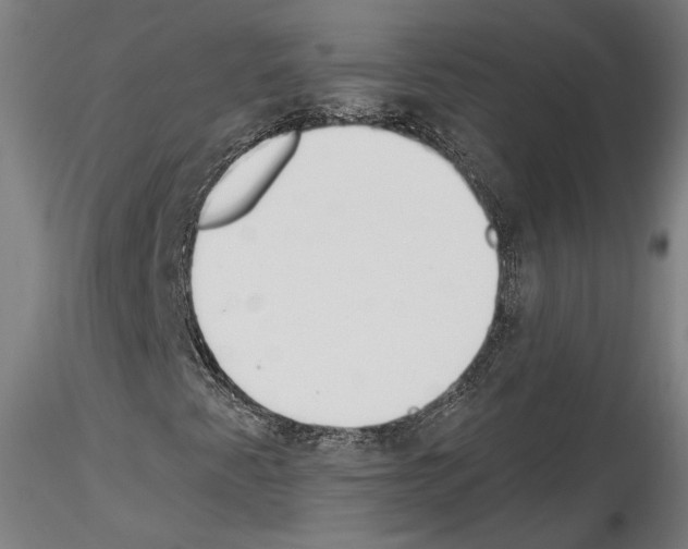 X0000114551345200911301215