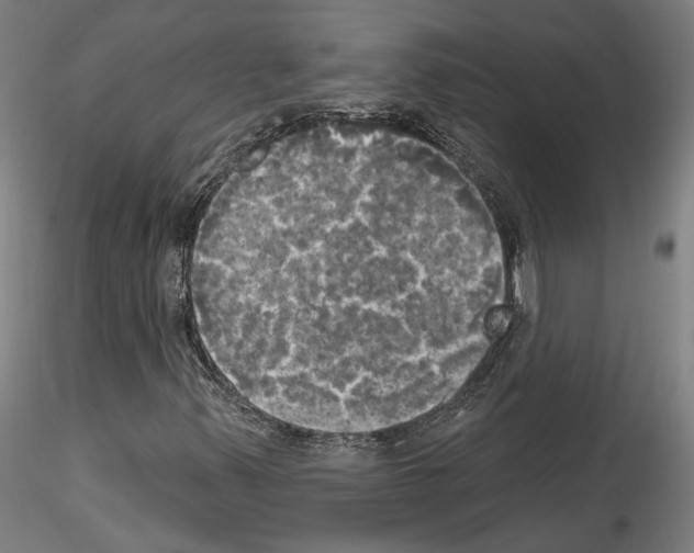 X0000114551347200911301215