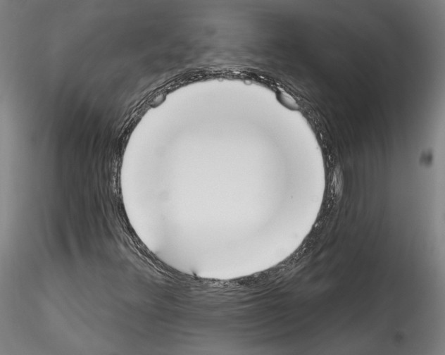 X0000114551348200911301215