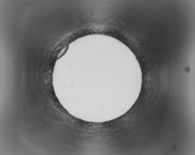 X0000114551349200911301215