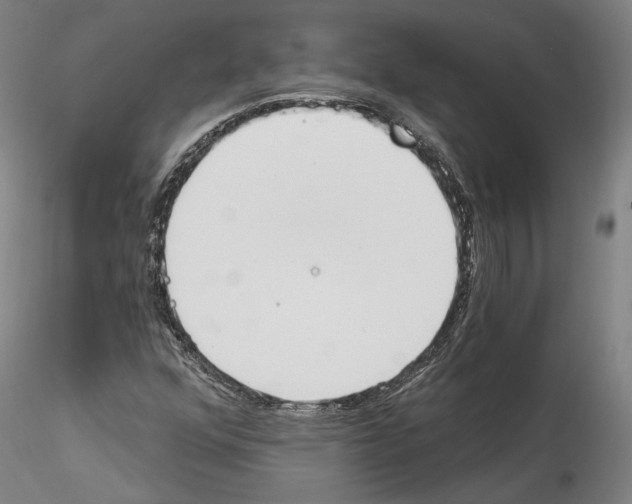 X0000114551352200911301215