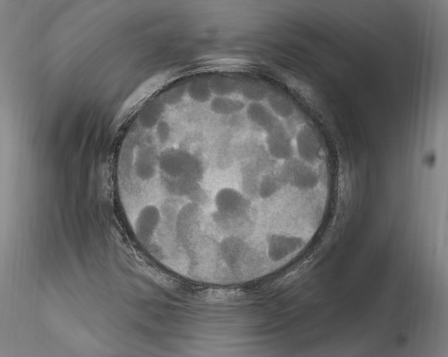 X0000114551354200911301215