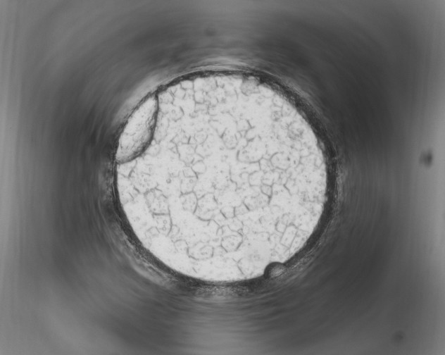 X0000114551355200911301215