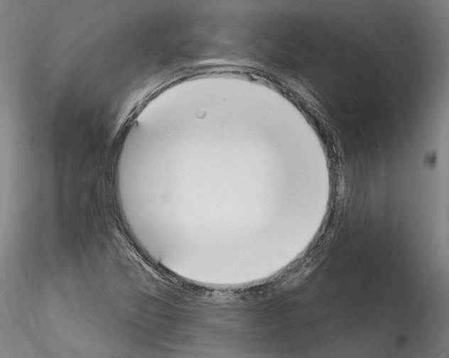 X0000114551357200911301215
