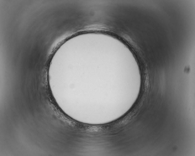 X0000114551358200911301215