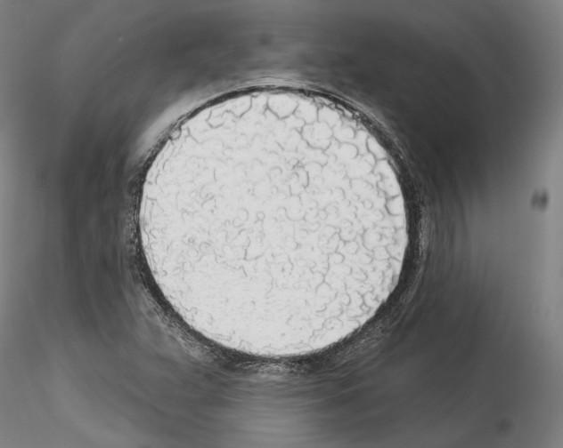 X0000114551359200911301215