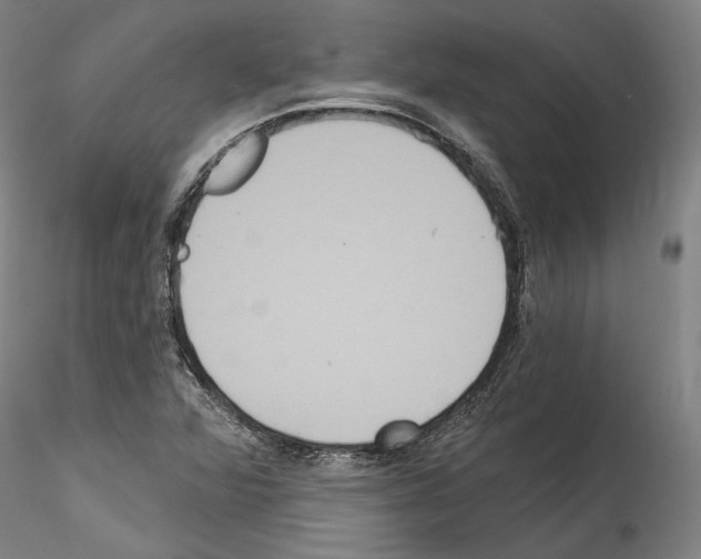 X0000114551360200911301215