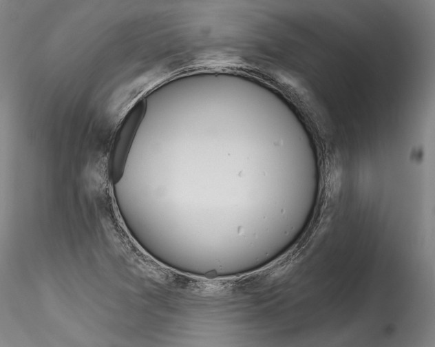 X0000114551361200911301215