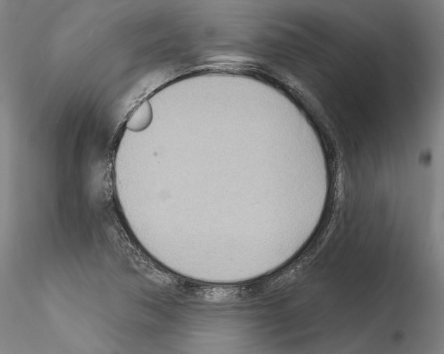 X0000114551362200911301215
