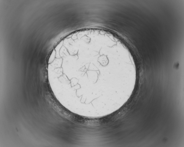 X0000114551363200911301215