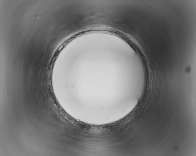 X0000114551364200911301215
