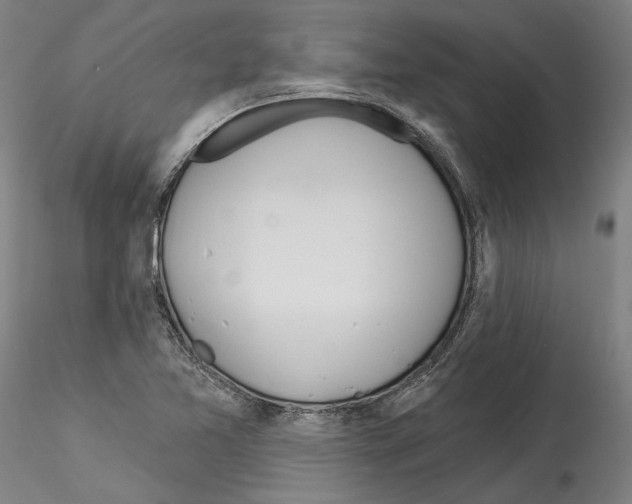 X0000114551365200911301215