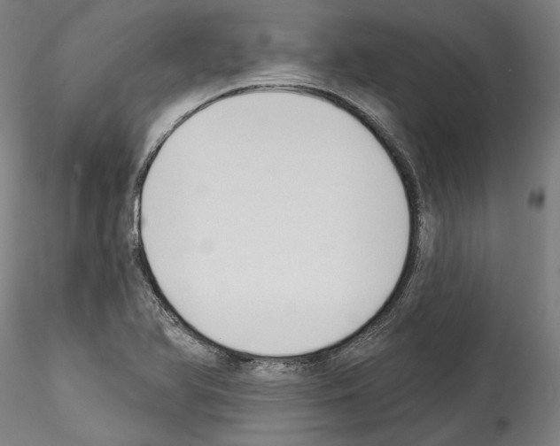 X0000114551366200911301215