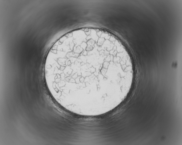 X0000114551367200911301215