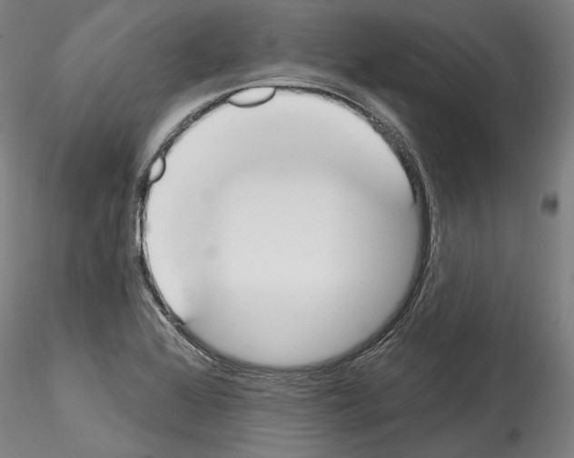 X0000114551368200911301215