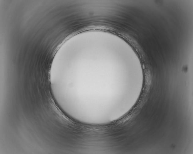 X0000114551369200911301215
