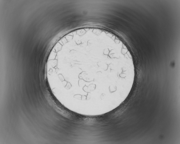 X0000114551371200911301215