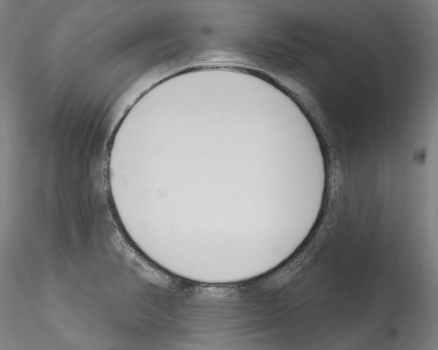 X0000114551374200911301215
