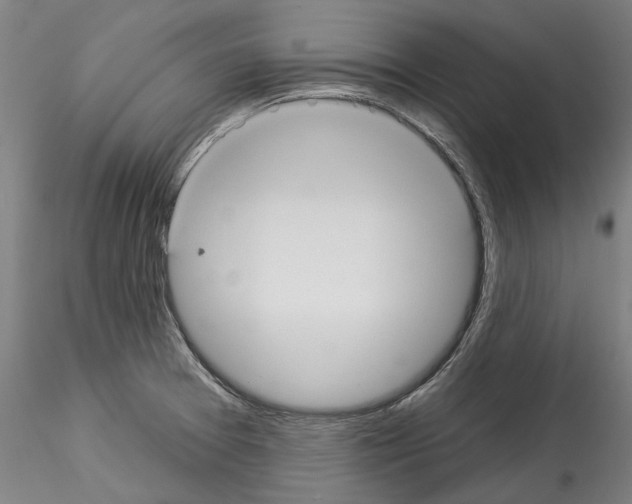 X0000114551377200911301215