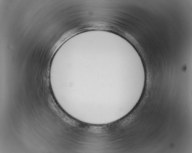 X0000114551378200911301215