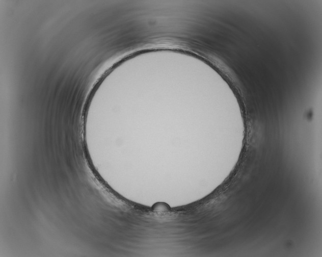 X0000114551380200911301215