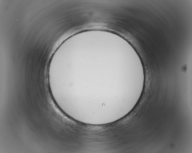 X0000114551382200911301215