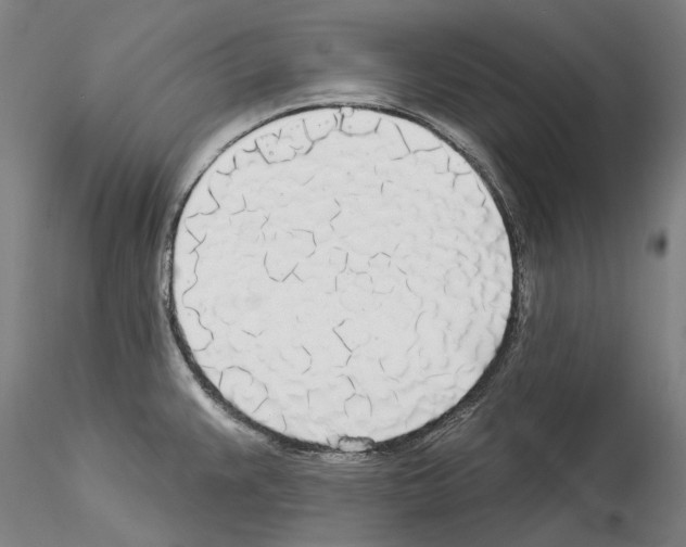 X0000114551383200911301215