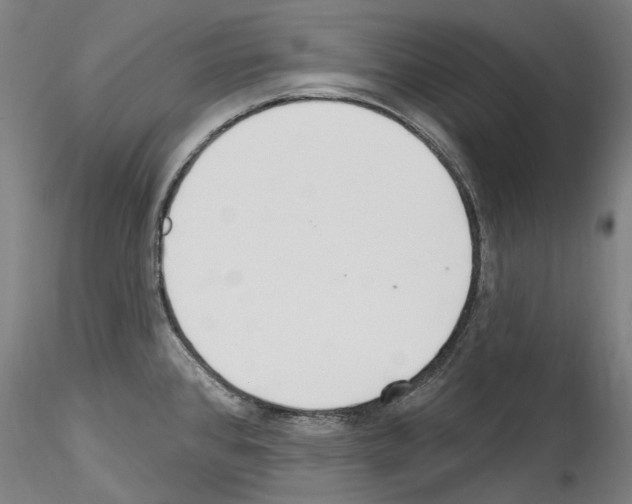 X0000114551384200911301215