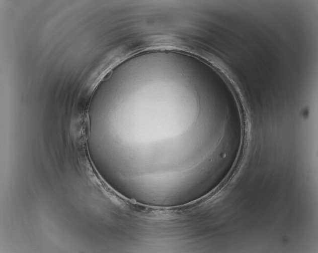 X0000114551385200911301215
