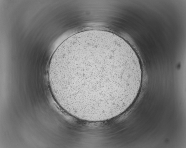 X0000114551386200911301215