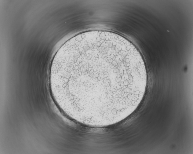 X0000114551387200911301215