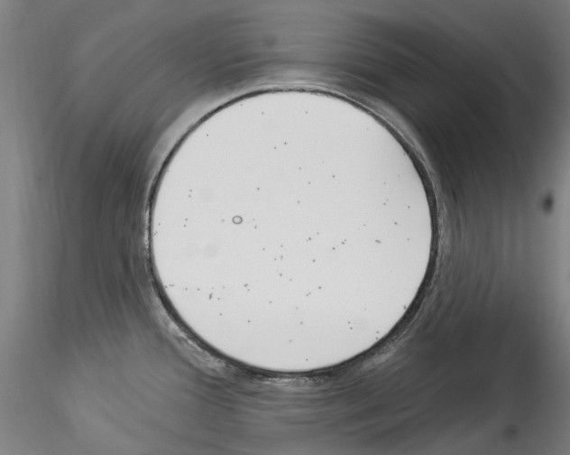 X0000114551388200911301214