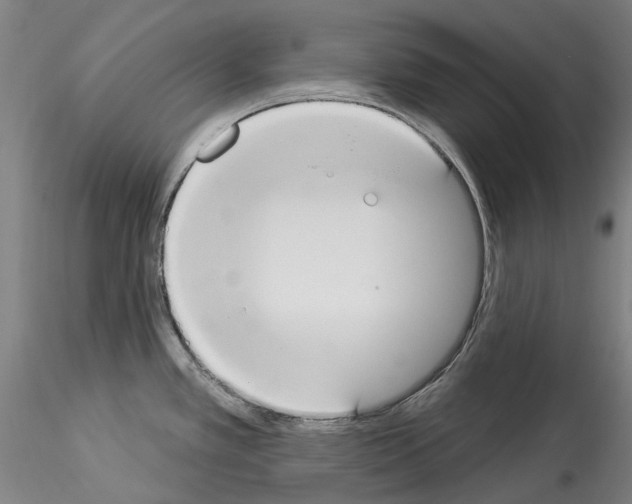 X0000114551389200911301214