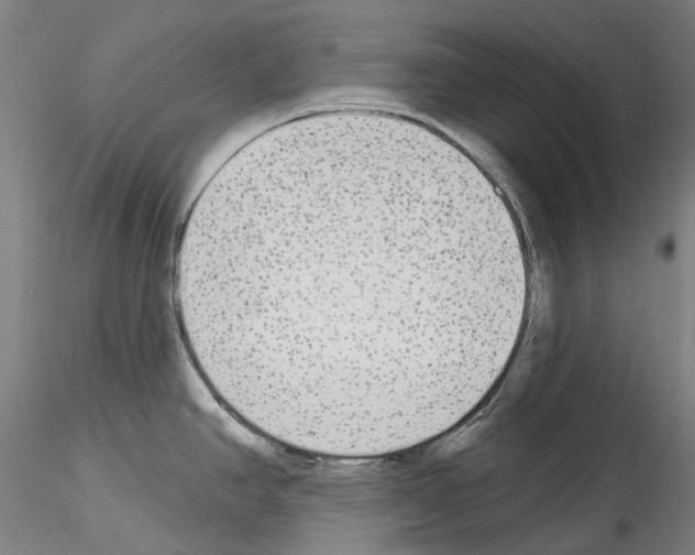 X0000114551390200911301214