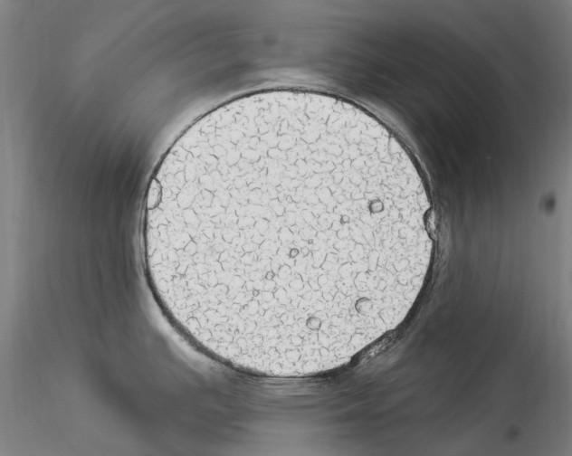 X0000114551391200911301214