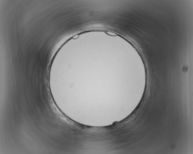 X0000114551392200911301214