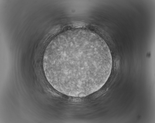 X0000114551393200911301214