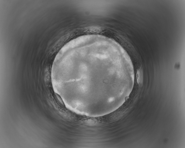 X0000114551395200911301214